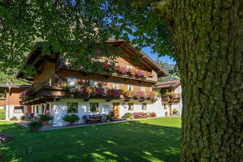 Landhaus Gredler マイヤーホーフェン エクステリア 写真
